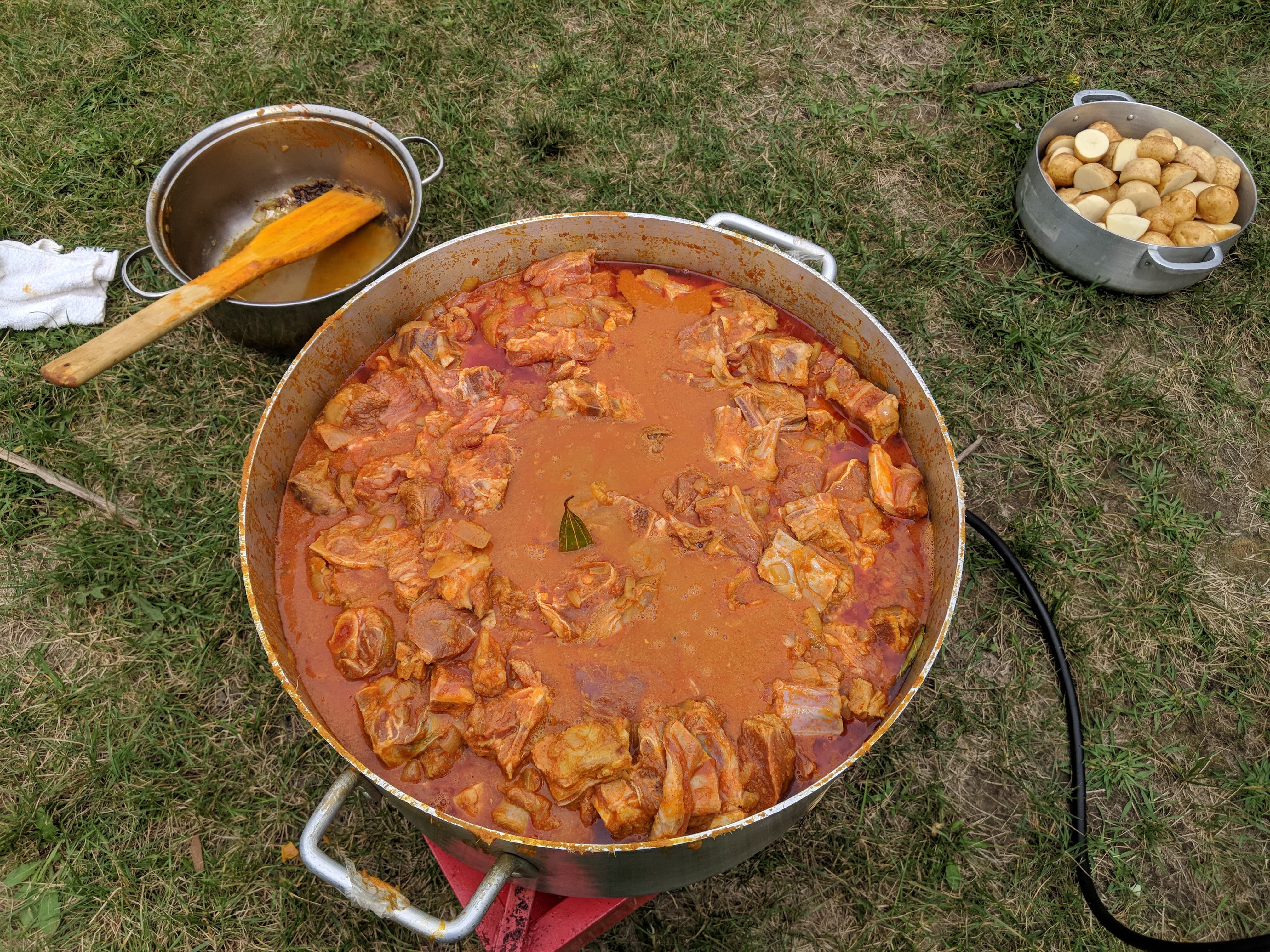 Annual Picnic