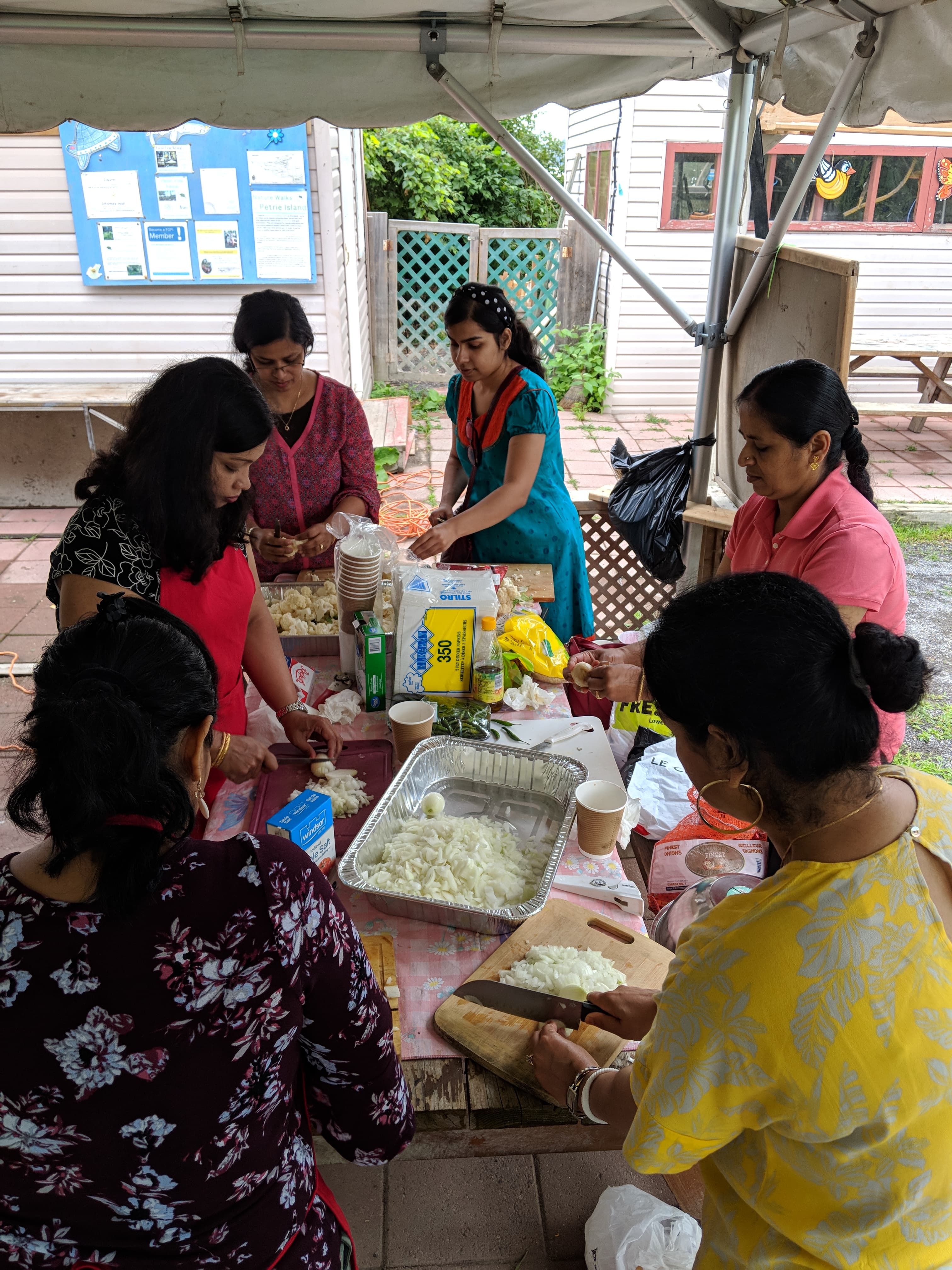 Annual Picnic