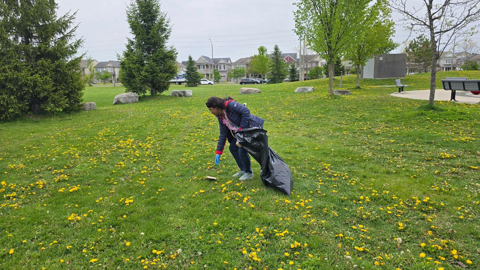 Half Moon Bay Park Cleaning (05/23/2026)